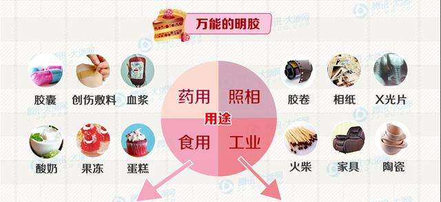明胶在食品行业的创新应用研讨会在上海举办
